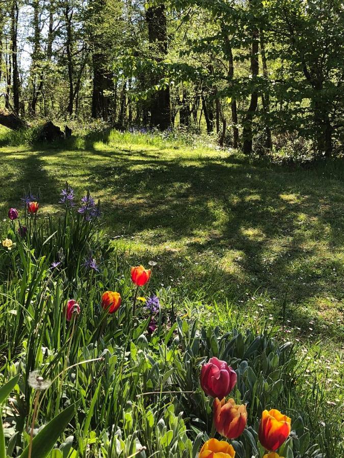 Mabelle Reve B&B Saint-Pierre-de-Côle Dış mekan fotoğraf